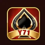Y71 Game